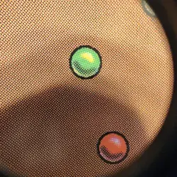 Gandalf the White (Showcase) *Regular* LTR 305 NM, Never Played - Image 4