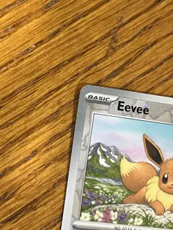 Eevee 074 Holo Pokemon Day 2025 Stamped Promo Pokemon Card NM - Image 4