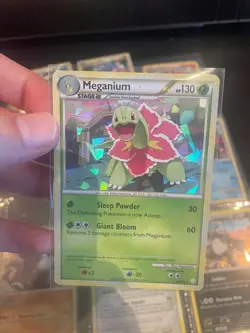 Pokemon Card Lot 9 Vintage Cracked Ice Holos 🔥LP - HP 2008-2011 DP, BW, XY era - Image 5