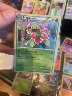 Pokemon Card Lot 9 Vintage Cracked Ice Holos 🔥LP - HP 2009-2016 DP, BW, XY era - Image 5