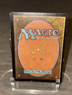 Land Grant - FOIL *MERCADIAN MASQUES* LIGHTLY PLAYED *1999* COMMON *MAGIC* MTG - Image 5