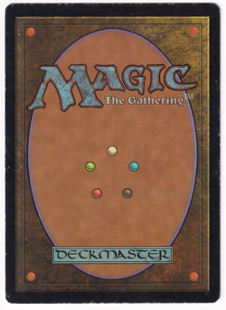 Pallimud Tempest #195 Magic The Gathering 1997 MTG Single - Image 2