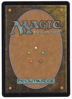 Safehold Duo Shadowmoor #238 Magic The Gathering 2008 MTG Single - Image 2