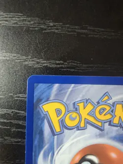 Pokemon TCG Turtwig 040 Promo Holo English 2026 First Partner (NM) - Image 3