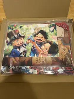 One Piece TCG OP-13 Carrying On His Will Boost Kit English Version - Image 2