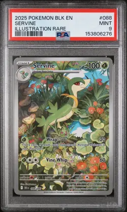 2025 POKEMON BLK EN-BLACK BOLT ILLUSTRATION RARE #088 SERVINE PSA 9 - Image 1