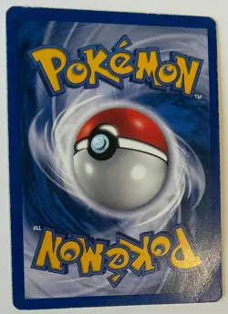 Pidgeotto 208/197 SV03: Obsidian Flames Holo Pokemon Card NM Illustration Rare - Image 2