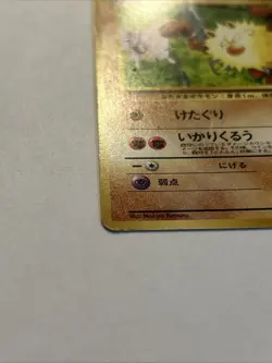 1999 Vintage Pokemon Primeape No. 057 Southern Islands Japanese Lp - Image 2