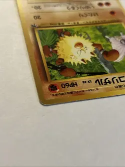 1999 Vintage Pokemon Primeape No. 057 Southern Islands Japanese Lp - Image 5