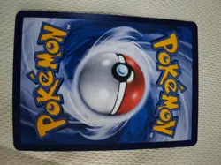 Dachsbun ex sar Pokemon tcg 240/204 CSV7C Holo JM64 - Image 2