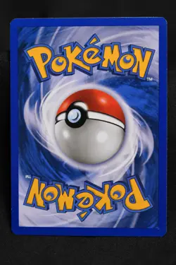 Chikorita 1st Edition 53/111 NM Neo Genesis Regular Common Pokemon TCG - Image 4