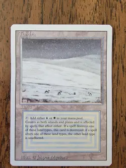 MTG Tundra Revised Edition Dual Land. LP+ - Image 1