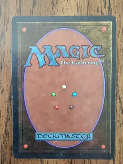 MTG Tundra Revised Edition Dual Land. LP+ - Image 2