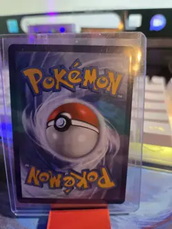 Pokemon Zeraora V SWSH263 Black Star Promo Holo NM - Image 2