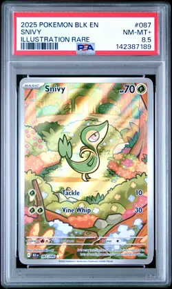 2025 POKEMON BLK EN-BLACK BOLT ILLUSTRATION RARE #087 SNIVY PSA 8.5 - Image 1