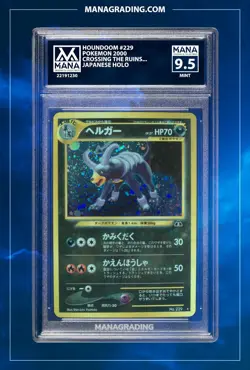 Pokemon HOUNDOOM #229 CROSSING THE RUINS... MANA 9.5 PSA STACKABLE - Image 1