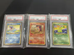 Pokemon Japanese Promo Champion Road 2000 - Chikorita, Cyndaquil, Totodile PSA 6 - Image 1