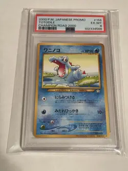 Pokemon Japanese Promo Champion Road 2000 - Chikorita, Cyndaquil, Totodile PSA 6 - Image 5