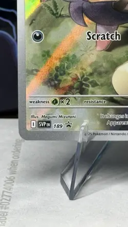 Pokemon TCG N's Zorua SVP 189 Black Star Promo Card NM (Journey Together ETB) - Image 5