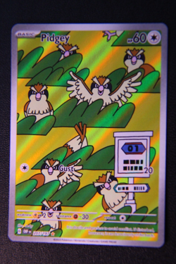 Pokemon Obsidian Flames PIDGEY Illustration Rare Card #207/197 - Image 1
