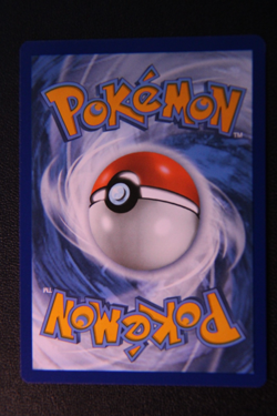 Pokemon Obsidian Flames PIDGEY Illustration Rare Card #207/197 - Image 2