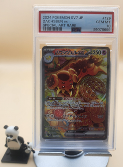 2024 POKEMON JPN SV7-STELLAR MIRACLE SPECIAL ART RARE #129 DACHSBUN EX PSA 10 - Image 1