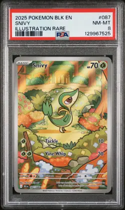 2025 POKEMON BLK EN-BLACK BOLT ILLUSTRATION RARE #087 SNIVY PSA 8 - Image 1