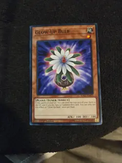 1x Yu-Gi-Oh! Glow-Up Bulb - SDCL-EN021 - Common - 1st Edition - NM - Image 1