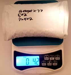 Pokemon Bulk Lot | x33! Gengar 050/088 Holo/Reverse Rare - Perfect Order Nm! - Image 3