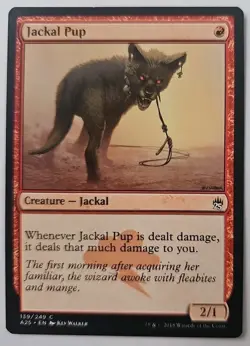 MTG Magic The Gathering Card Jackal PupCreature Jackal Red Masters 25 2018 - Image 1