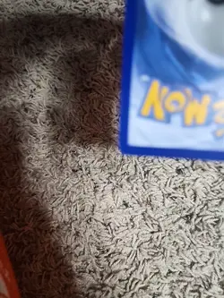 Pokemon TCG Pickachu 2026 Pokemon Day Promo #51/162 - Image 5