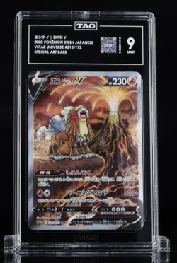 Pokemon Entei V 213/172 Vstar Universe Special Art Rare Holo TAG 9 Japanese #03 - Image 1