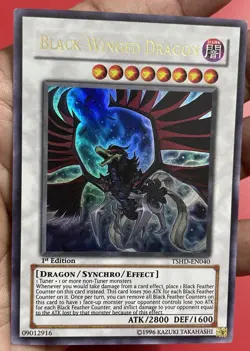 Yugioh Black-Winged Dragon TSHD-EN040 - The Shining Darkness 1st Edition - Image 4