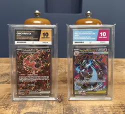 Pokemon Mega Charizard X Ex 023 & Oricorio Ex 024 Promo Graded ACE 10 Bundle 🦖 - Image 4