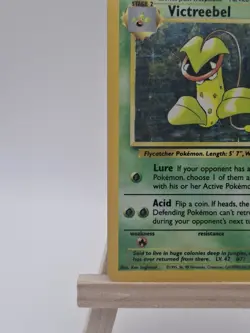 Pokemon TCG Victreebel Jungle Set 14/64 Holo Rare LP - Image 5