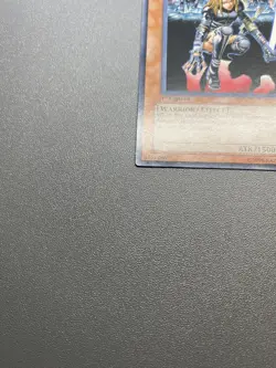 Yu-Gi-Oh! D.D. Warrior Lady Common 1st Edition SD5-EN011 HP - Image 3