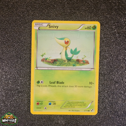 Pokemon Cards - Black & White Base Set Singles - Non Holo / Reverse / Rare - NM+ - Image 3