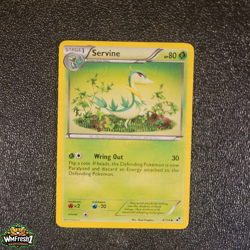 Pokemon Cards - Black & White Base Set Singles - Non Holo / Reverse / Rare - NM+ - Image 4