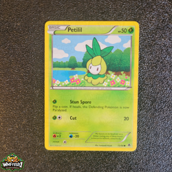 Pokemon Cards - B&W Emerging Powers Singles - Holo, Rare , Reverse + more - NM+ - Image 5