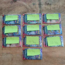 Pokemon Tcg Temporal Forces Heavy Pack Bundle X10 - Image 1