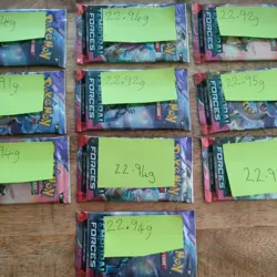 Pokemon Tcg Temporal Forces Heavy Pack Bundle X10 - Image 3