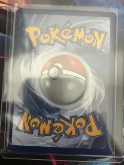 Pokemon First Partner Illustration Collection Series 1 Gen 4 Starter Set (NM) - Image 4