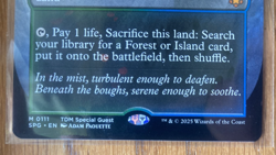 Misty Rainforest (Borderless) Special Guests Regular, Mythic, Fetch land Mtg - Image 3