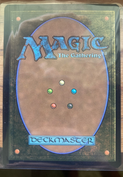 Misty Rainforest (Borderless) Special Guests Regular, Mythic, Fetch land Mtg - Image 4