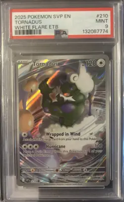 Lot of (10) Pokemon ,All PSA 9, Wobbuffet, Murkrow, Magneton, Beartic + - Image 5