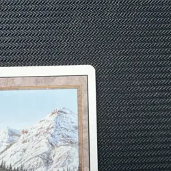 Taiga Revised Edition Regular Dual Land - Image 4