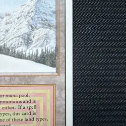 Taiga Revised Edition Regular Dual Land - Image 5