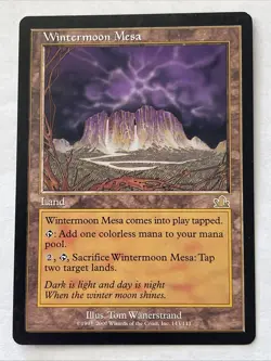 1 x Wintermoon Mesa - Prophecy - LP - Magic The Gathering - MTG - Image 1