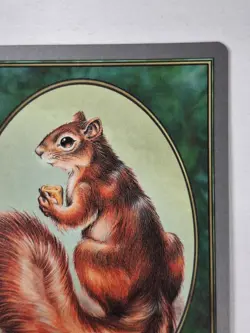 MTG TOKEN Unglued Squirrel NM Near Mint Free Shipping! BB - Image 3