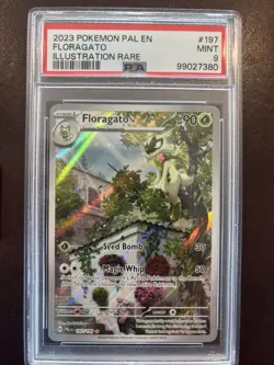 Pokemon TCG Floragato Illustration Rare 197/193 Paldea Evolved PSA 9 - Image 1